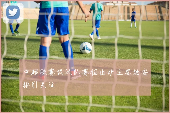 中超联赛武汉队赛程出炉主客场安排引关注