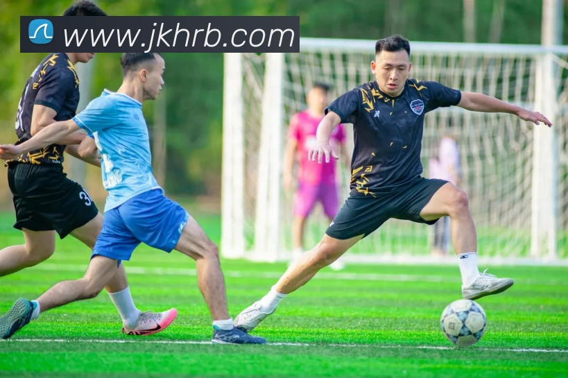 星空体育在线官网首页APP 封面图